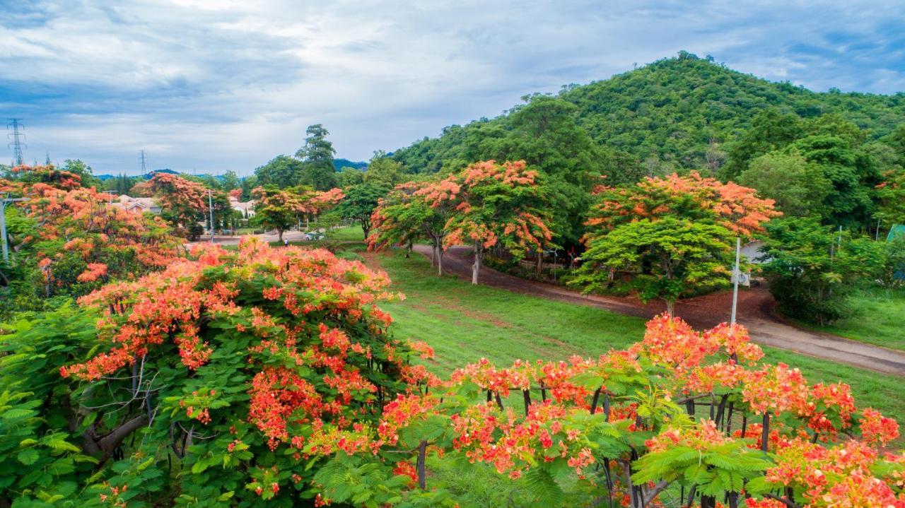 Diamond Hill Resort Nong Nam Daeng Eksteriør billede