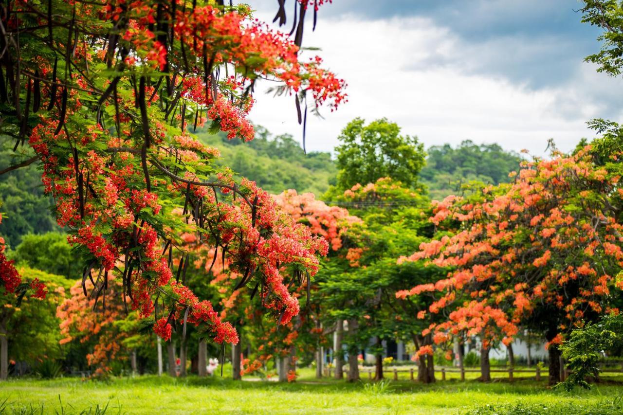 Diamond Hill Resort Nong Nam Daeng Eksteriør billede